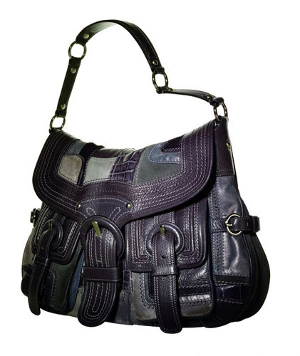 Coach 2008�ﶬ�¿��ִ�1.jpg