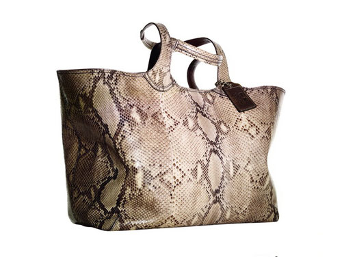 Coach 2008�ﶬ�¿��ִ�7.jpg