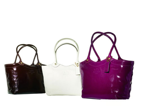 Coach 2008�ﶬ�¿��ִ�9.jpg