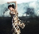 Roberto Cavalli2008�ﶬ�����