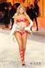 Victoria's Secret2008�������.