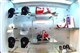 lecoqsportif2.jpg