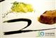 ������8�ࡡ�Һܺڵ��Һܽ���5.j