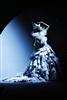 Christian Dior 2011秋冬高级定.jpg