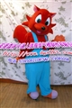 ɭ�ֿ�ͨ��ż��װ