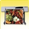 HP Designjet 500A1/B0 