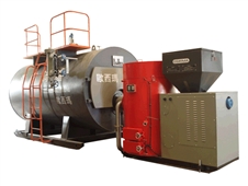 WNS系列生物质燃料专用锅炉