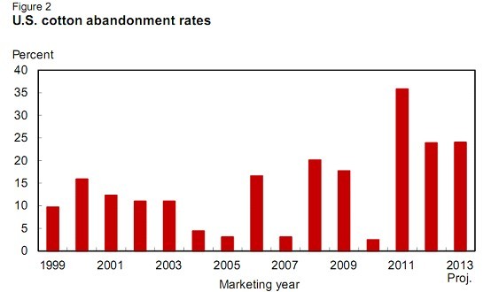 2013年种植面积增加 美国棉花产量预期未调整0.jpg