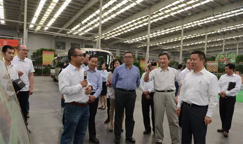 全国政协副主席罗富和考察红豆集团转型升级发展等情况3.jpg