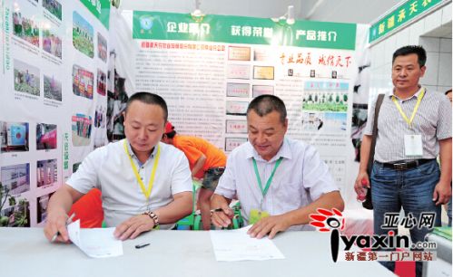 承天棉种两小时“抢空”南疆棉种走俏北疆0.jpg