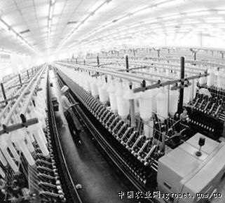 青岛三千企业受制于棉花疯涨 正常生产受影响0.png
