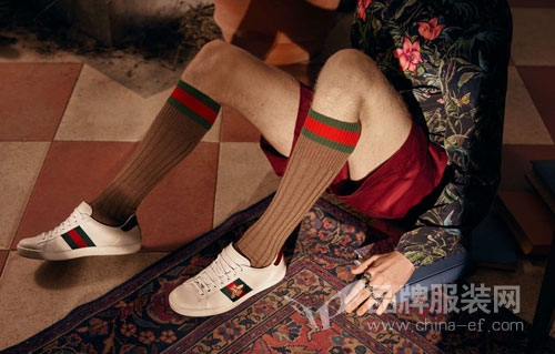 Gucci2016早秋Ace Sneaker系列：温室狂欢的复古活力  3.jpg