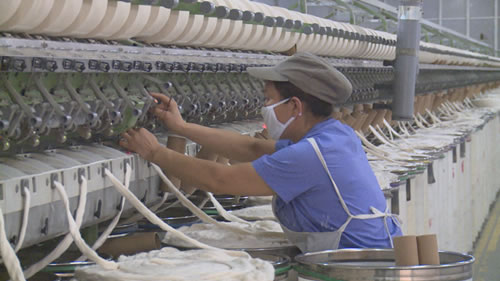 美国飓风影响波及中国棉纺企业1.jpg